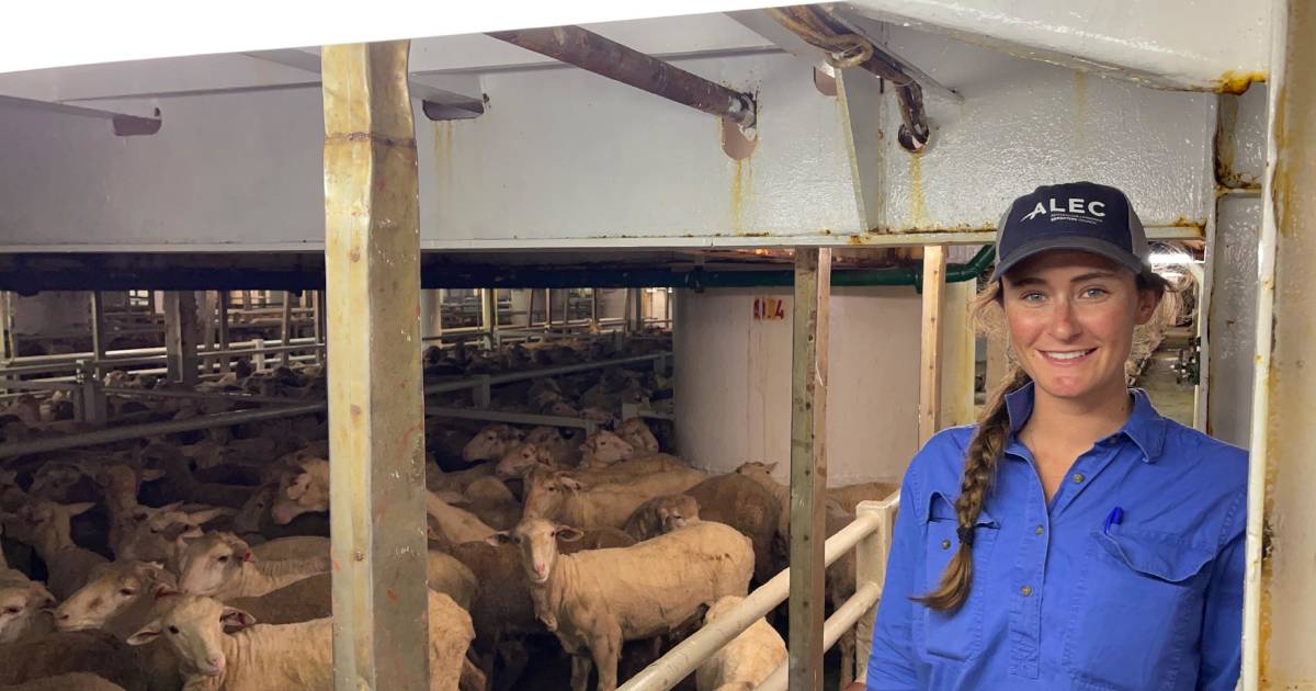 Annabelle sets sail into live export career