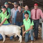 Western Downs Santa bulls clear 72 per cent at auction