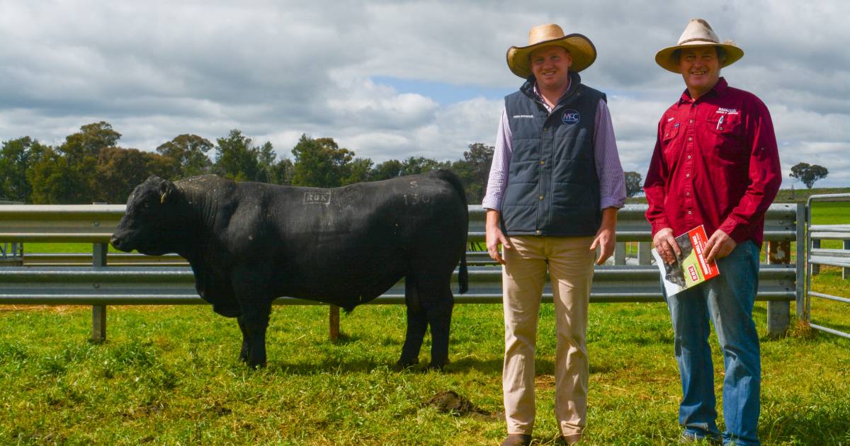 Redbank Angus sale saw demand from local and interstate buyers | The Land