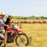 North West graziers manage pastures ahead of fire season