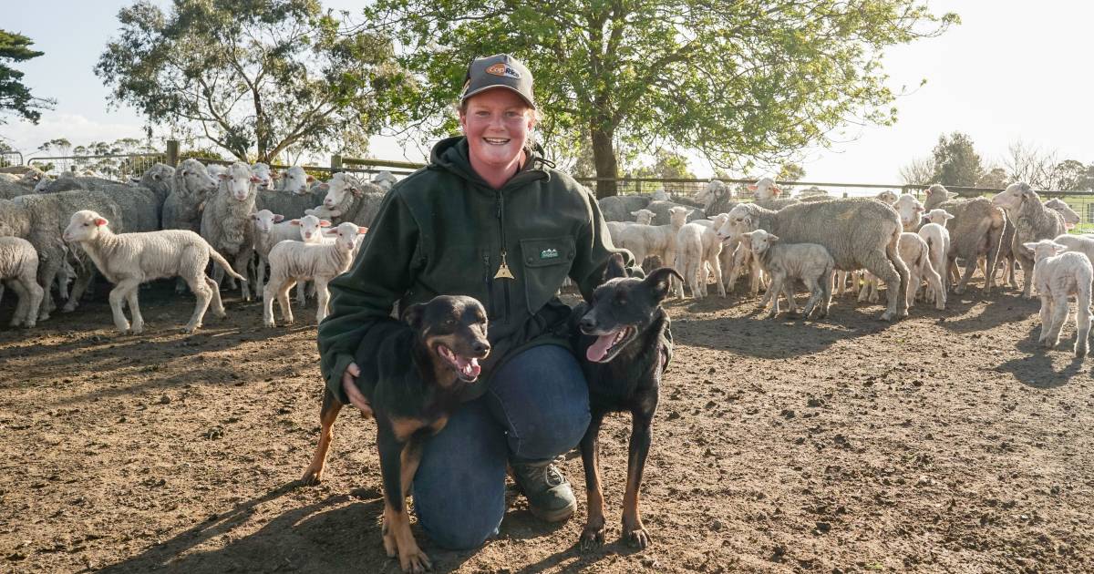 Trials, tribulations and talent for a Colac competitor and her Kelpie stud