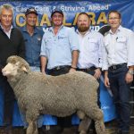 Garside family top 2023 Central Reds Droughtmaster sale at Emerald