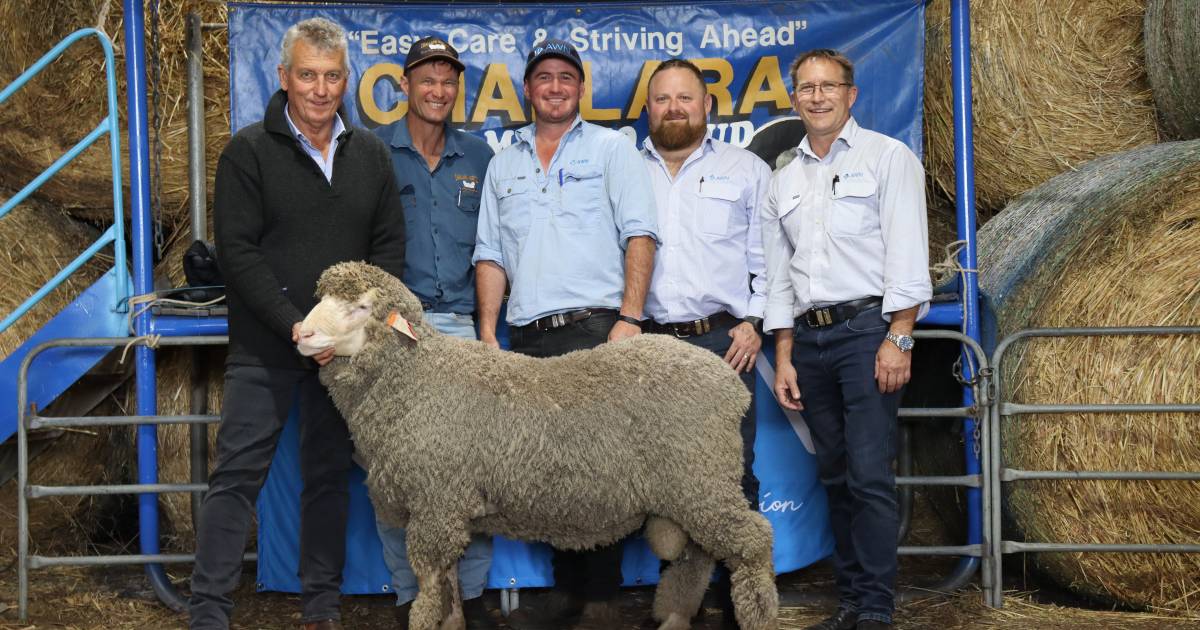 Challara Poll Merino sets $6000 record