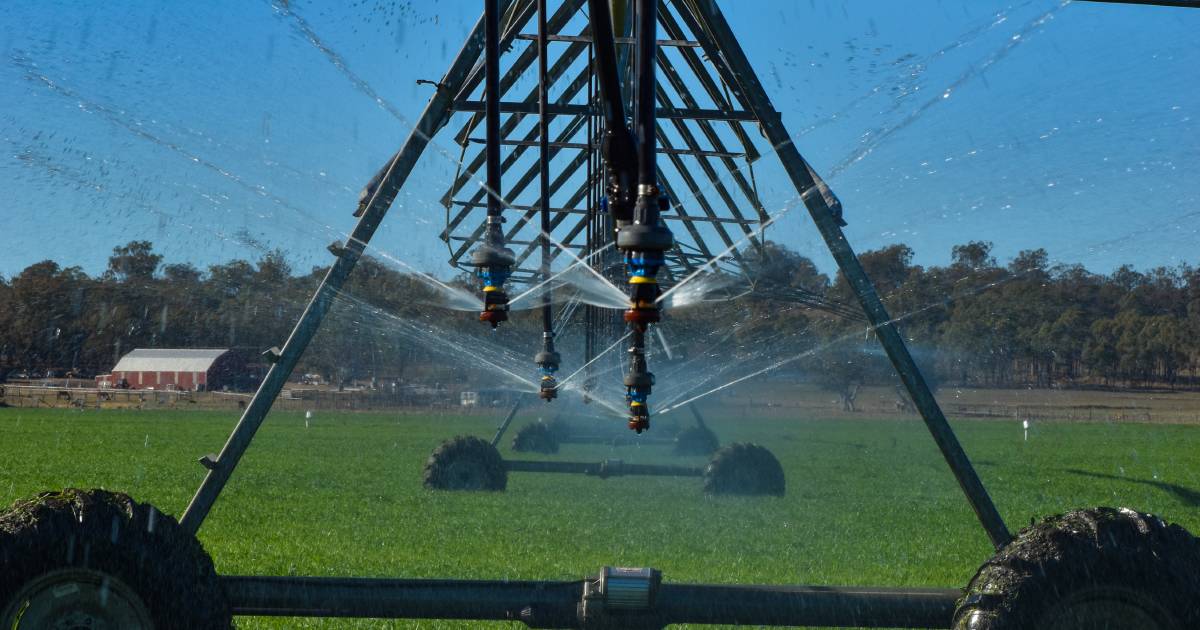 Well developed Condamine River irrigation heads to auction