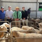 The Glen Angus sells top-priced bull to Tasmania | The Land