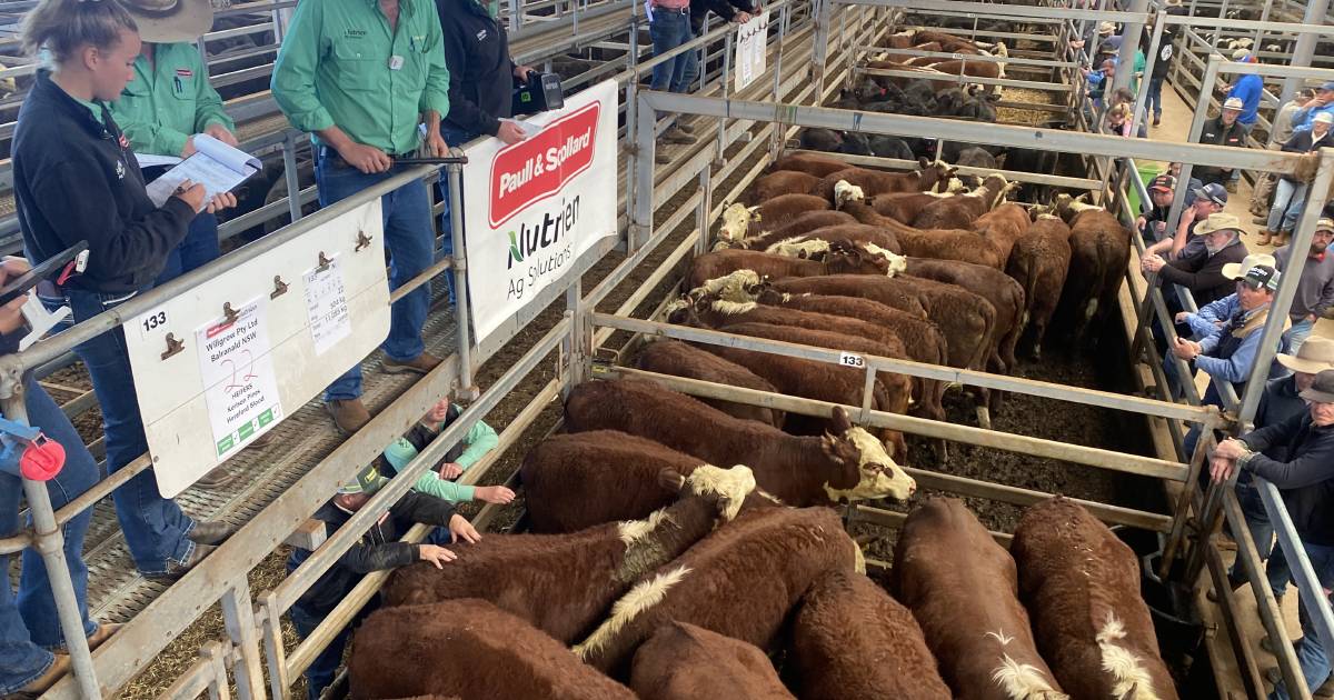 Steers at Wodonga sold to $1430, heifers $1180