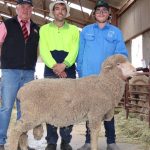 Volume buyers step in at Bogo Merinos