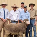 Bidder competition was fierce at Langdene Merinos