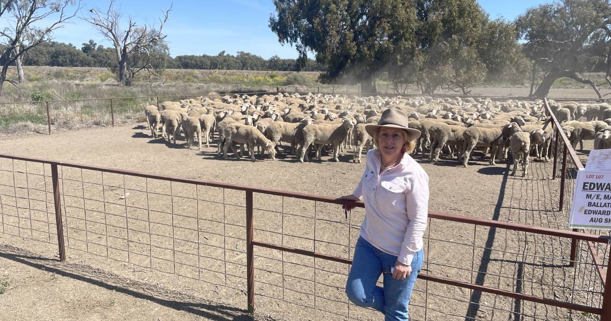 Hillston exceeds expectations