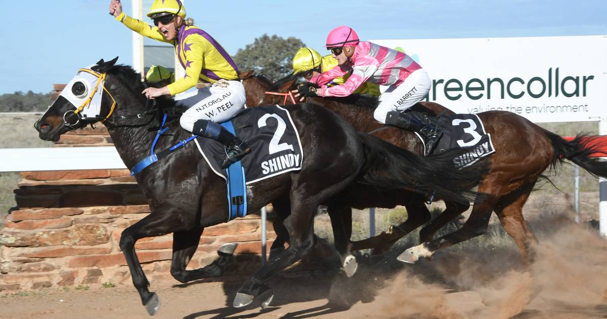 Country horses set to battle for Kosciuszko glory