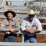 Live cattle to Indonesia still not smooth sailing | Queensland Country Life