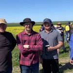 InterGrain launches new Firefly noodle wheat variety | Farm Weekly