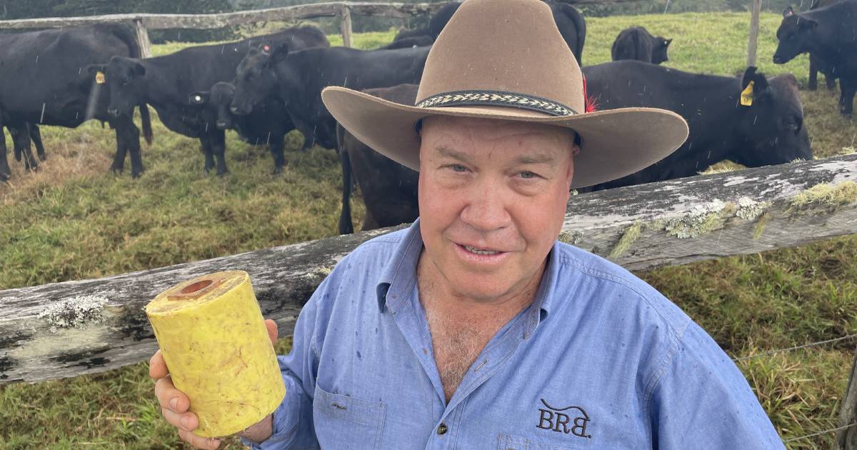 Buffalo fly product considered kinder to the environment and more efficient | Queensland Country Life