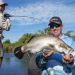 Speckle Park world record set at East Coast Select Speckle Park sale | The Land