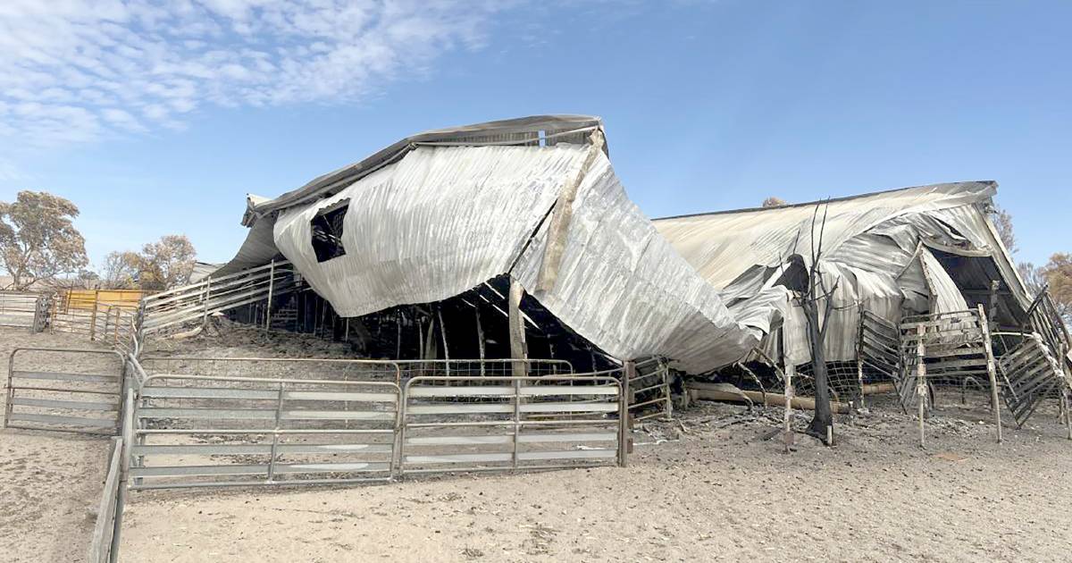 Corrigin community launches February Firestorm, Voices from the Smoke book | Farm Weekly