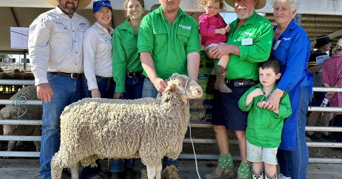 Karbullah Poll Merinos sell rams far and wide