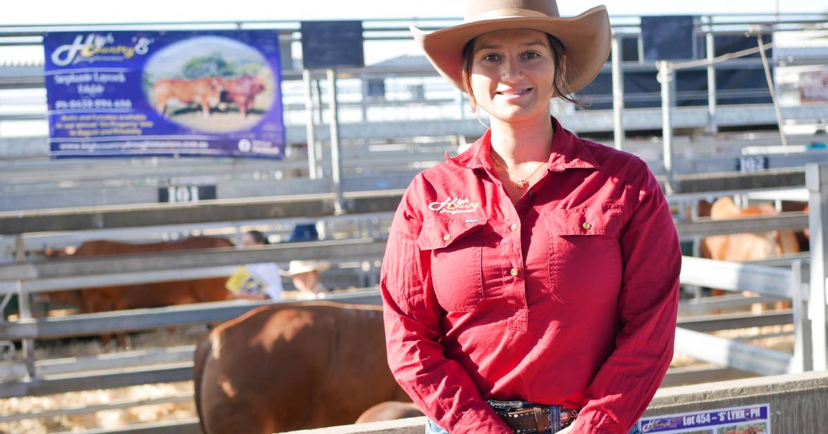 Young stud breeder Stephanie Laycock joins Droughtmaster National as first time vendor