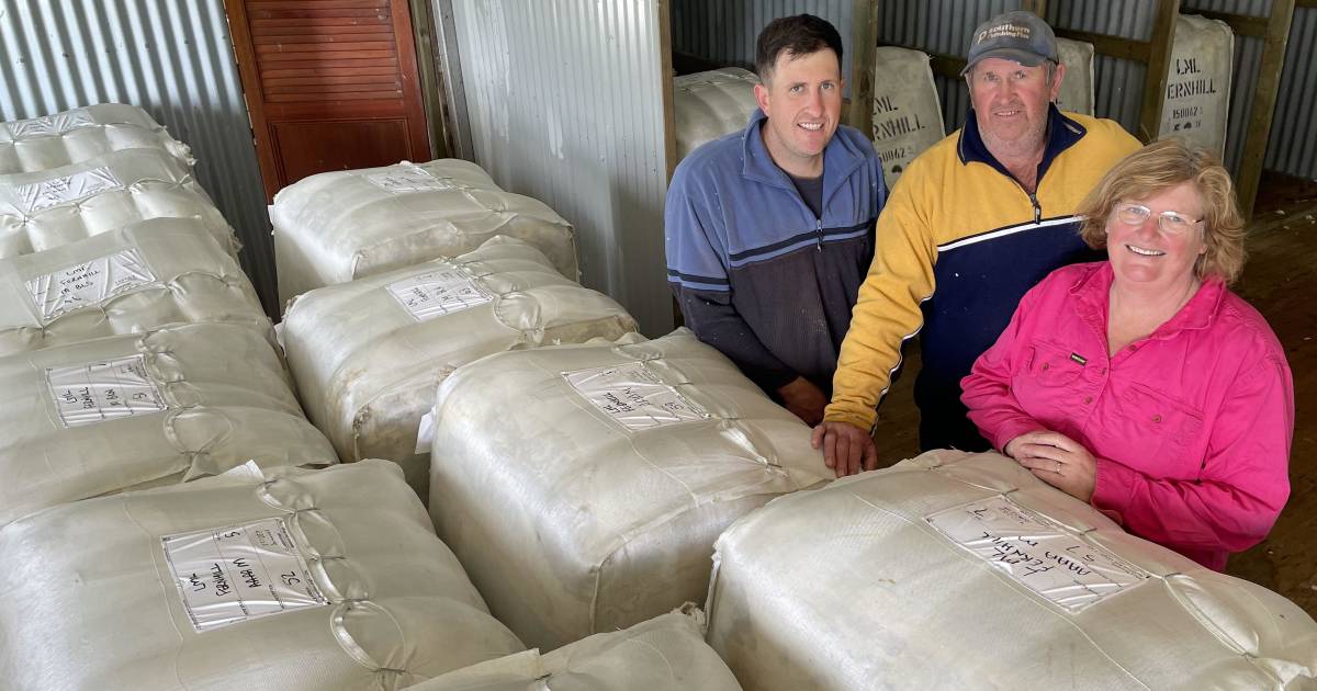 Wool prices pick up, if only for one sale | The Land