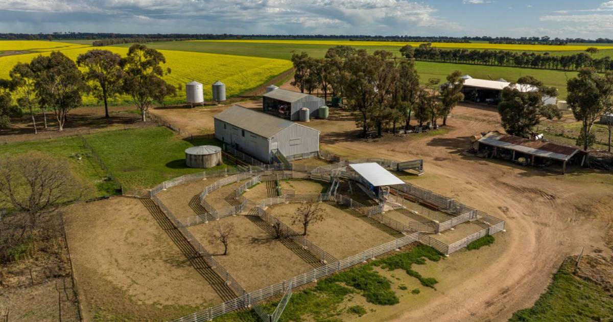 Meticulously managed mixed farming operation hits the market