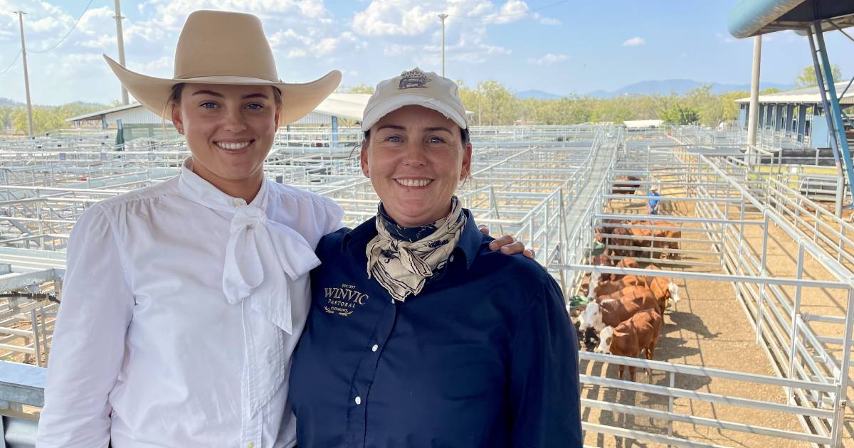 National Braford Sale 2023 first time bull vendors average $11,333 | North Queensland Register