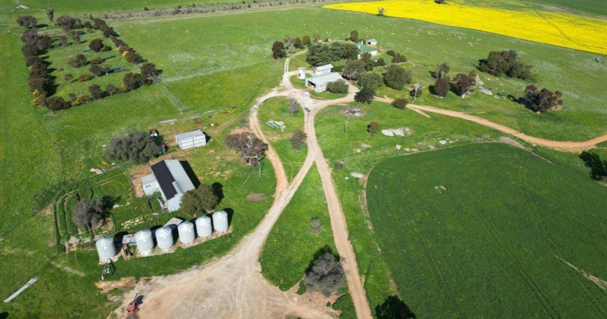 Versatile Kanoona suited to both cropping and livestock