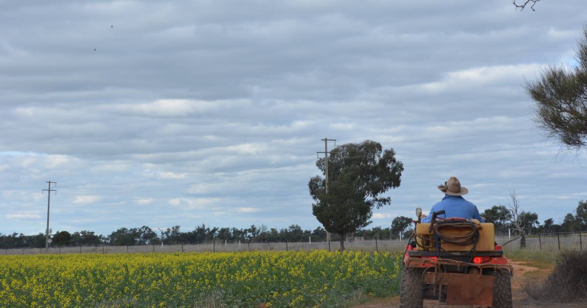 Rates to stay high but banks say ag prices, weather more worrying | North Queensland Register