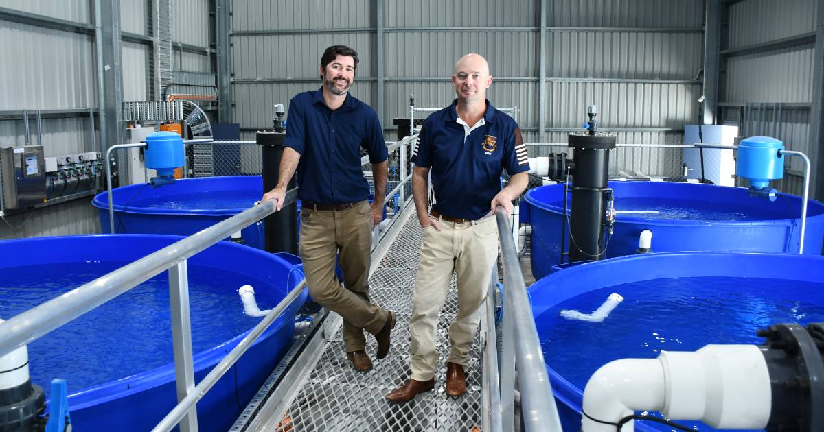 Rockhampton State High shows off Aquaculture facility with Fitzroy Food Bowl in mind | North Queensland Register