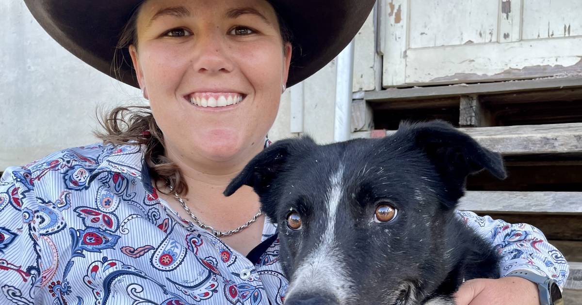 Working cattle dog trained by a woman takes top prize | North Queensland Register