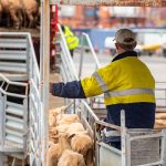 National Feed Base – August 2023