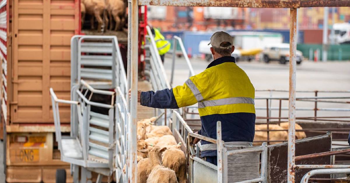 Kuwait pleads live export case to minister