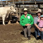 Livestock traceability system gets $22.5 million database boost