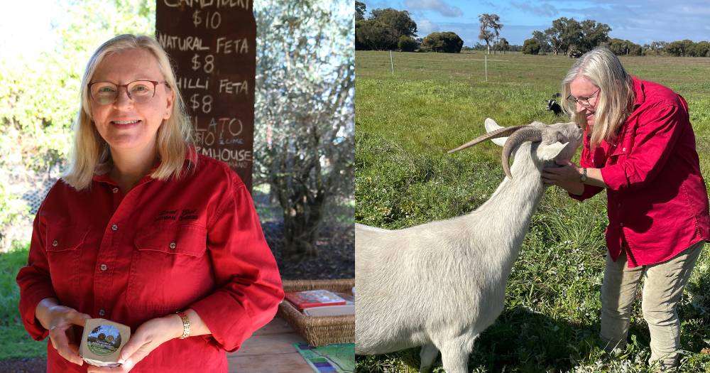 Local Goat is farm fresh goat cheese made near Gingin | Farm Weekly