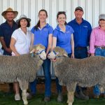 Genetic gain seen in clients flocks noted at Koonwarra Merinos