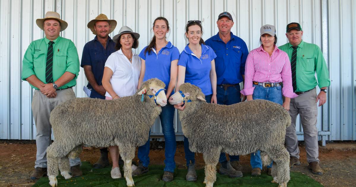 Wool quality and growth were front of mind at Bella Lana sale