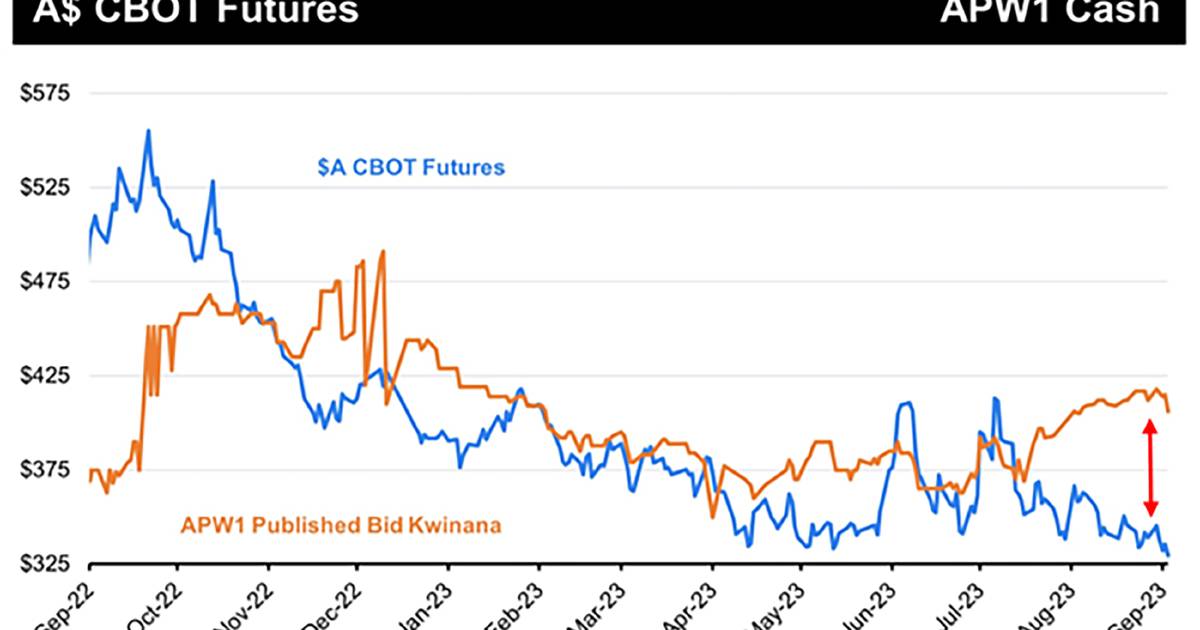 Tight global wheat balance sheet | Farm Weekly