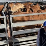 Farmers return serve to activists in battle of the billboards