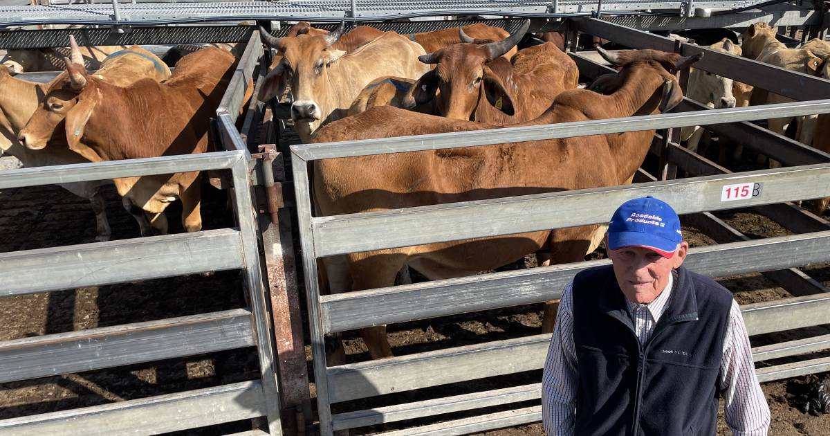 Mixed fortunes at Grafton store sale