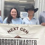 5 Star Senepol sale clears the board in 2023 | Queensland Country Life