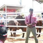 Does this launch signal the future of the Brahman breed?