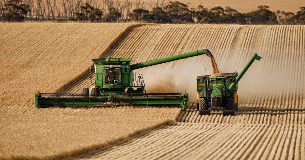 Australia's biggest grain grower revealed