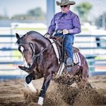 Dangarfield Funky Thang the freshest bull on offer at Adams family’s annual sale | Queensland Country Life