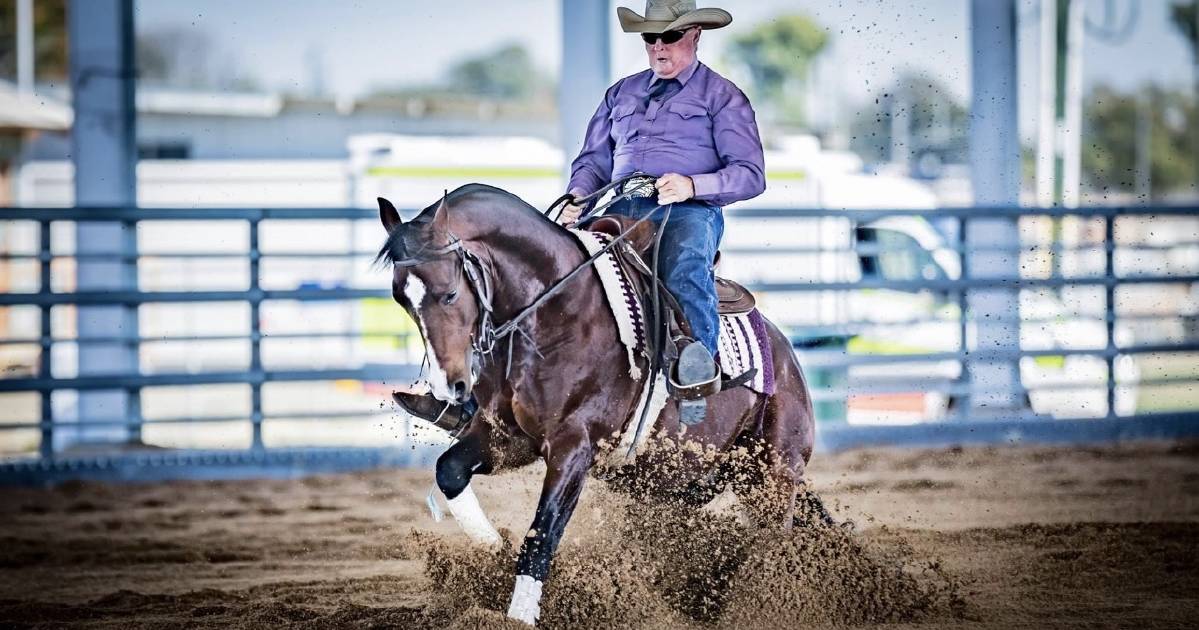 Legendary horseman Ken May’s stallion still competes with father and daughter duo | North Queensland Register