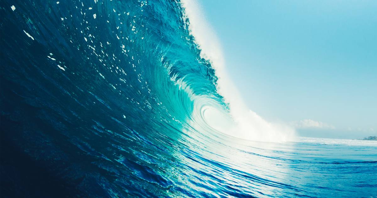 Riding the wave with energy tech company