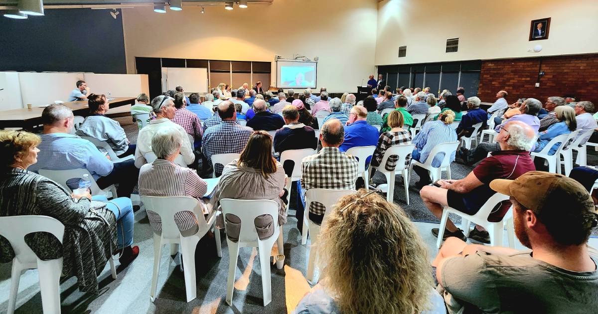 Roma discusses wind farm pros and cons at public meeting | Queensland Country Life