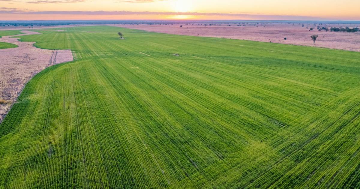 Grazing and grain property with crop remains on the market