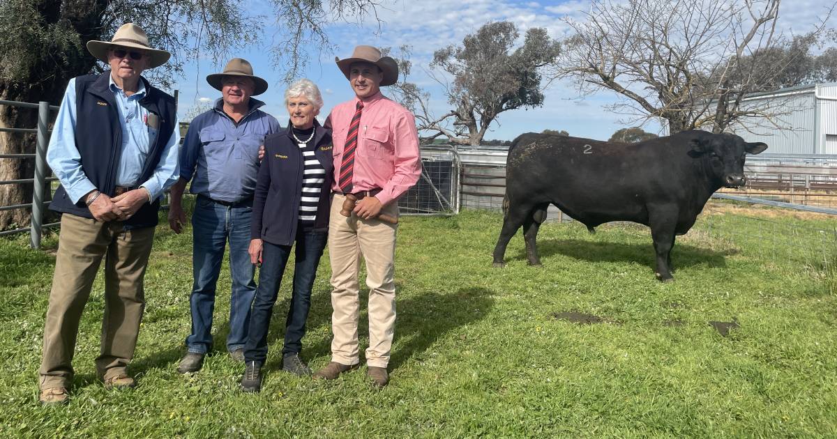 'Investing for the future': Return buyer secures top-priced bull at Onslow Angus sale