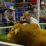 Lachlan Merinos sold rams to long-term buyers in various climates | The Land