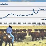 Online cattle listings drop