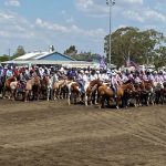 Texas A&M research on temperament raises eyebrows at NBRUC | North Queensland Register