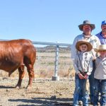 First cross lamb producers invest in Womboota genetics